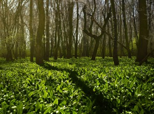 访农户，送手艺！ “中国农资”现代农业效劳团队助力秋粮生产
