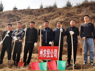 尊龙凯时加入2021年春季义务植树活动